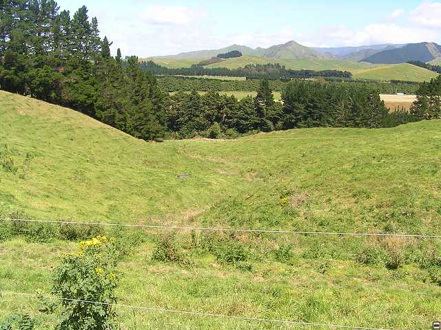 NZ leden-unor 2006 114.jpg